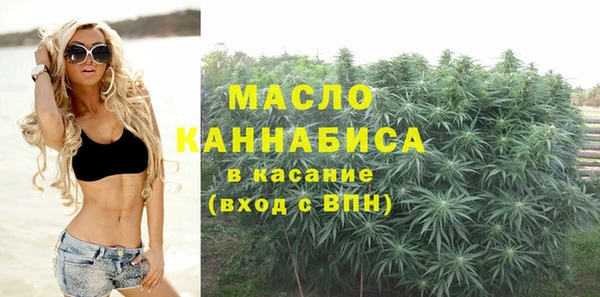 дмт Богородицк