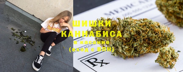 дмт Богородицк