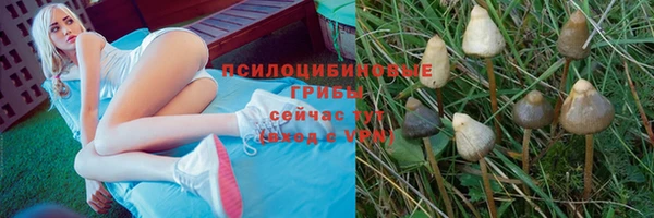 прущие крисы Верея