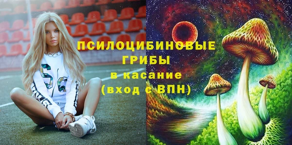 дмт Богородицк